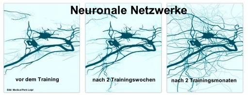 Idealerweise wird durch ständiges Training der gestörten Funktionen erreicht, dass die “sinnvollen” Verbindungen aktiviert und stabilisiert werden.